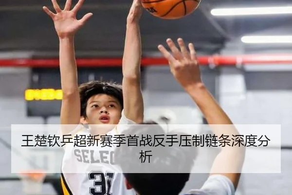 王楚钦乒超新赛季首战反手压制链条深度分析